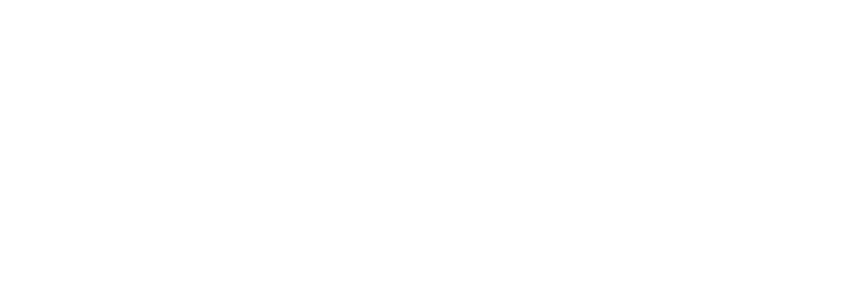 FIS South Florida Logo
